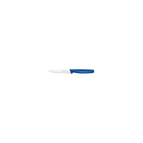 Cuchillo Para Cocina 10 Cm, Mango Nylon Azul     5.0702