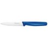 Cuchillo Para Cocina 10 Cm, Mango Nylon Azul     5.0702