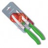 Set De 2 Cuch. Sc P/Tomate Dentado, Verde, Blister     6.7836.L114B