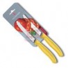 Set De 2 Cuch. Sc P/Tomate Dentado, Amarillo, Blister     6.7836.L118B