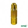 5000009182409     Punta Torx 40 X 25 Mm